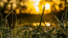 Przyrodniczy wschód słońca nad jeziorem Mażańskie - zdjęcie 1