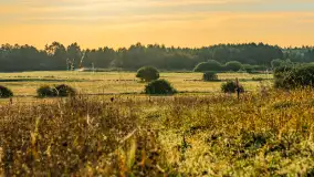 Przyrodniczy wschód słońca nad jeziorem Mażańskie - zdjęcie 17