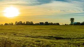 Przyrodniczy wschód słońca nad jeziorem Mażańskie - zdjęcie 27