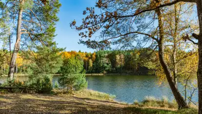 Magia mazurskiej jesieni nad jeziorem Wesołek, listopad 2023 r.