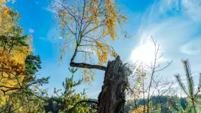 Magia mazurskiej jesieni nad jeziorem Wesołek, listopad 2023 r. - zdjęcie 20