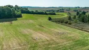 Żurawi sejmik na początku września przy jeziorze Tajty - zdjęcie 15