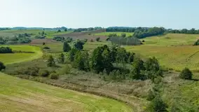 Żurawi sejmik na początku września przy jeziorze Tajty - zdjęcie 4