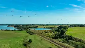 Żurawi sejmik na początku września przy jeziorze Tajty - zdjęcie 8