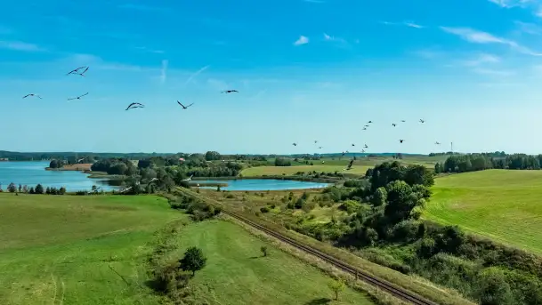 Żurawi sejmik na początku września przy jeziorze Tajty - zdjęcie 8