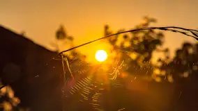 Wrześniowy zachód słońca nad jeziorem Dargin - zdjęcie 14