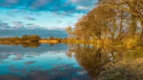 Wschód słońca nad jeziorem Dobskim, listopad 2023 r. - zdjęcie 13