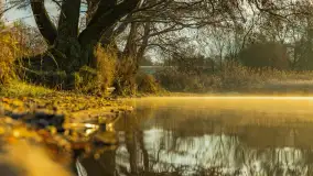 Wschód słońca nad jeziorem Dobskim, listopad 2023 r. - zdjęcie 11