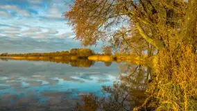 Wschód słońca nad jeziorem Dobskim, listopad 2023 r. - zdjęcie 21