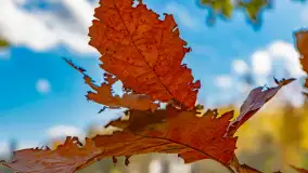 Fotograficzne podsumowanie jesieni 2023 cz. I - zdjęcie 32