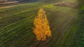 Fotograficzne podsumowanie jesieni 2023 cz. I - zdjęcie 11