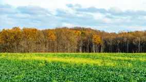 Fotograficzne podsumowanie jesieni 2023 cz. II - zdjęcie 45