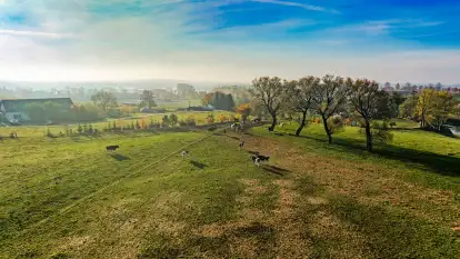 Fotograficzne podsumowanie jesieni 2023 cz. II