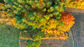 Fotograficzne podsumowanie jesieni 2023 cz. II - zdjęcie 25