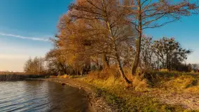 Zachód nad jeziorem Niegocin, listopad 2023 r. - zdjęcie 10