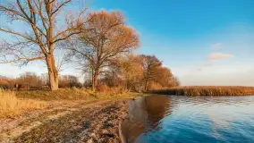 Zachód nad jeziorem Niegocin, listopad 2023 r. - zdjęcie 5