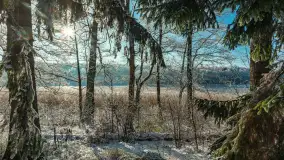 Zima w porcie Łabędzi Ostrów w Pięknej Górze, listopada 2023 r. - zdjęcie 11