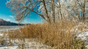 Zima w porcie Łabędzi Ostrów w Pięknej Górze, listopada 2023 r. - zdjęcie 50