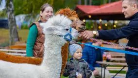 Fotorelacja ze Święta Ziemniaka w Mazurskim raju, październik 2023 r. - zdjęcie 12