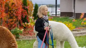 Fotorelacja ze Święta Ziemniaka w Mazurskim raju, październik 2023 r. - zdjęcie 21