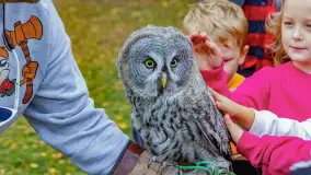 Fotorelacja ze Święta Ziemniaka w Mazurskim raju, październik 2023 r. - zdjęcie 15