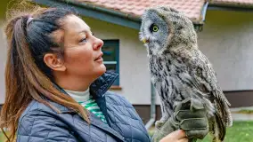 Fotorelacja ze Święta Ziemniaka w Mazurskim raju, październik 2023 r. - zdjęcie 67