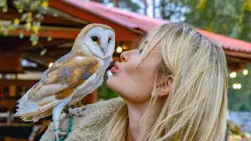 Fotorelacja ze Święta Ziemniaka w Mazurskim raju, październik 2023 r. - zdjęcie 64