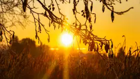 Zimowy zachód słońca nad jeziorem Mój, listopad 2023 r. - zdjęcie 31