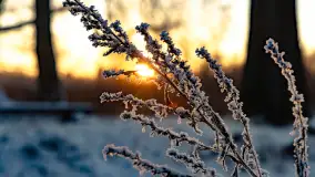 Zimowy zachód słońca nad jeziorem Mój, listopad 2023 r. - zdjęcie 11