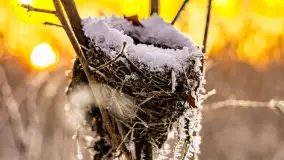 Zimowy zachód słońca nad jeziorem Mój, listopad 2023 r. - zdjęcie 43