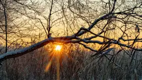 Zimowy zachód słońca nad jeziorem Mój, listopad 2023 r. - zdjęcie 27