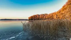 Zimowy zachód słońca nad jeziorem Mój, listopad 2023 r. - zdjęcie 15