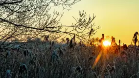 Zimowy zachód słońca nad jeziorem Mój, listopad 2023 r. - zdjęcie 8