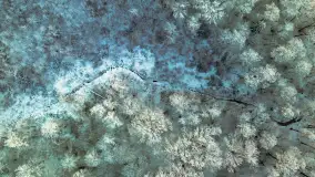 Zimowy zachód słońca nad jeziorem Mój, listopad 2023 r. - zdjęcie 36