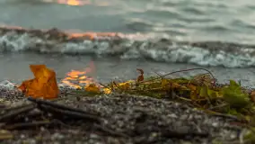 Cieniutki... zachód słońca nad jeziorem Dargin, listopad 2023 - zdjęcie 9