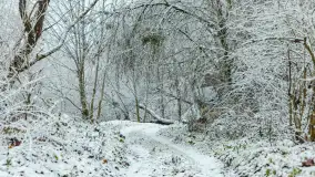 Zwalony most w Kruklankach w zimowej scenerii... bez słońca, listopad 2023 r. - zdjęcie 25