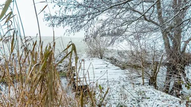 Zwalony most w Kruklankach w zimowej scenerii... bez słońca, listopad 2023 r. - zdjęcie 9