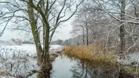 Zwalony most w Kruklankach w zimowej scenerii... bez słońca, listopad 2023 r. - zdjęcie 15