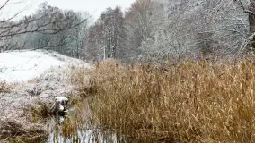 Zwalony most w Kruklankach w zimowej scenerii... bez słońca, listopad 2023 r. - zdjęcie 19