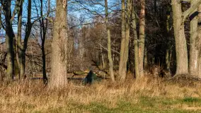 Jesienny biwak ekipy Mazury24 nad Darginem, listopad 2023 r. - zdjęcie 31