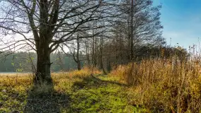 Jesienny biwak ekipy Mazury24 nad Darginem, listopad 2023 r. - zdjęcie 37