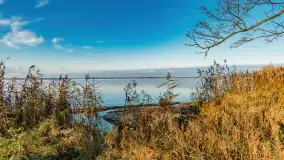 Jesienny biwak ekipy Mazury24 nad Darginem, listopad 2023 r. - zdjęcie 21