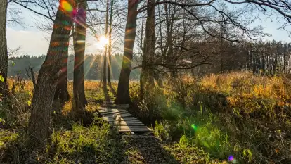 Jesienny biwak ekipy Mazury24 nad Darginem, listopad 2023 r.