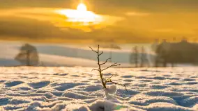 Wschód słońca w okolicach wsi Podlasie, grudzień 2023 r. - zdjęcie 19