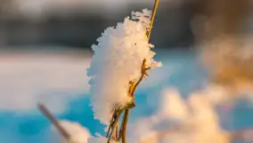 Wschód słońca w okolicach wsi Podlasie, grudzień 2023 r. - zdjęcie 11
