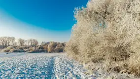 Zimowy poranek w okolicach Wopławek k/Kętrzyna - zdjęcie 13