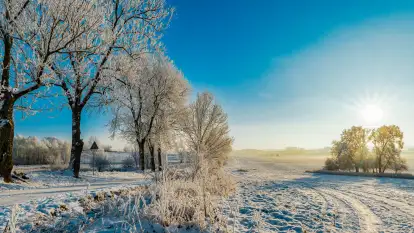 Zimowy poranek w okolicach Wopławek k/Kętrzyna