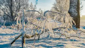 Zimowy poranek w okolicach Wopławek k/Kętrzyna - zdjęcie 43