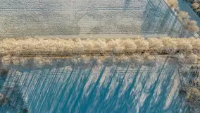 Zimowy poranek w okolicach Wopławek k/Kętrzyna - zdjęcie 27