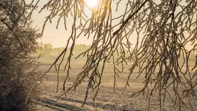 Zimowy poranek w okolicach Wopławek k/Kętrzyna - zdjęcie 33